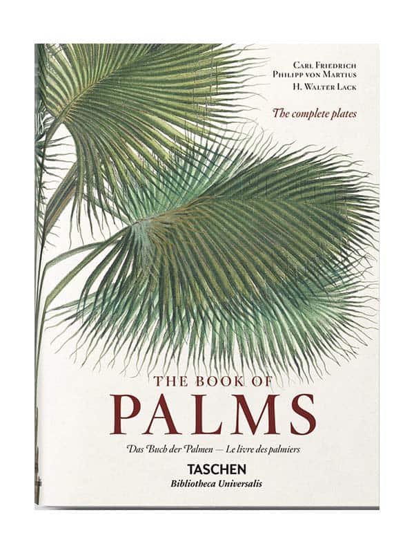 The book of Palms, Planter