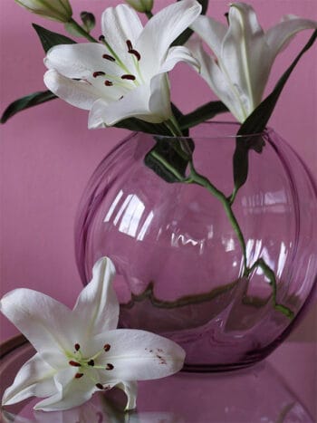 Swirl Vase lilla Anna Von Lipa